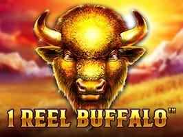 1 Reel Buffalo